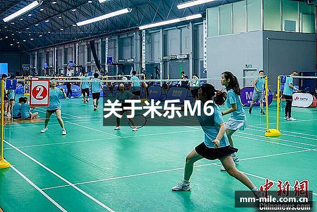 关于米乐M6